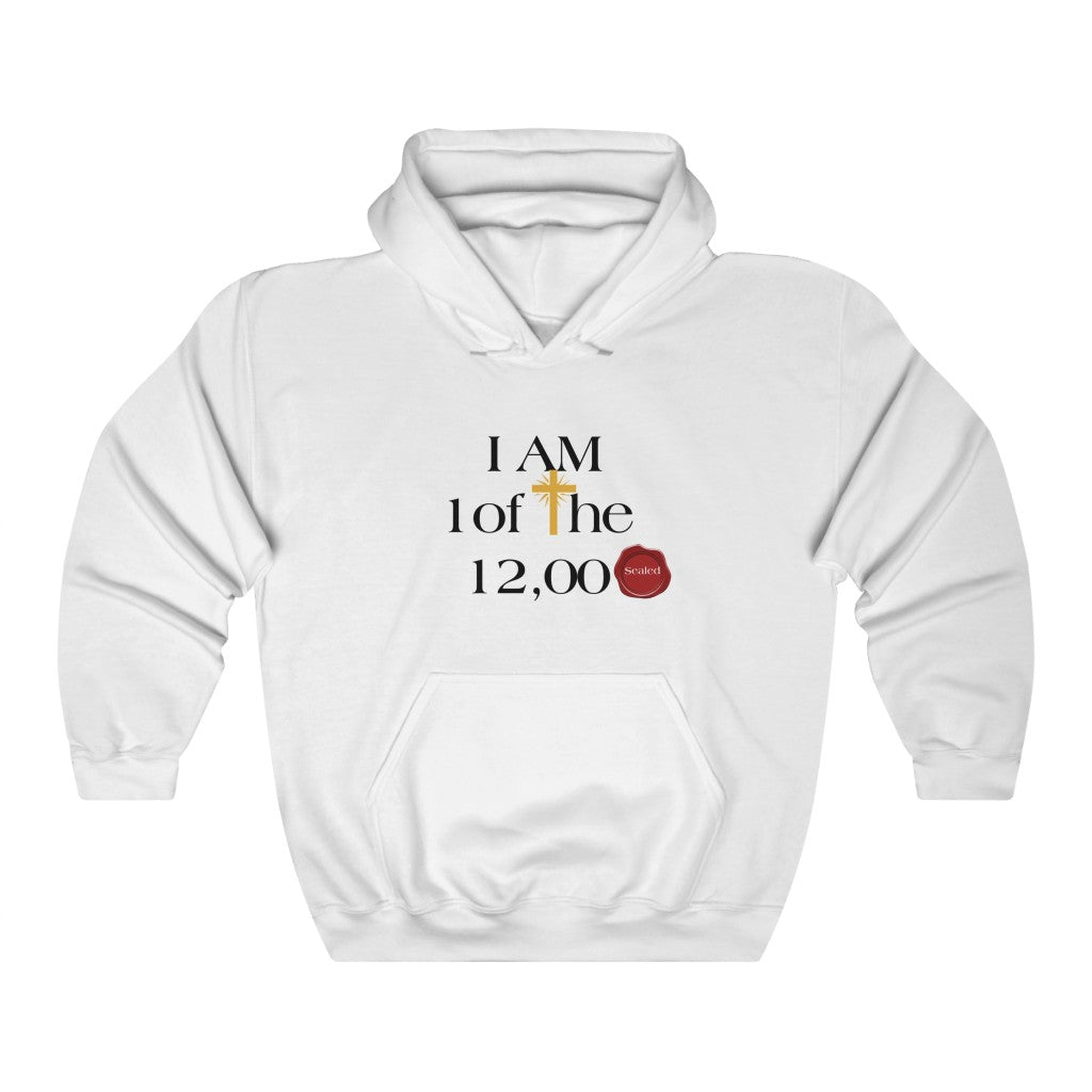 I AM ONE OF THE 12000 SEALED HOODIE-Hoodie-White-S-mysticalcherry