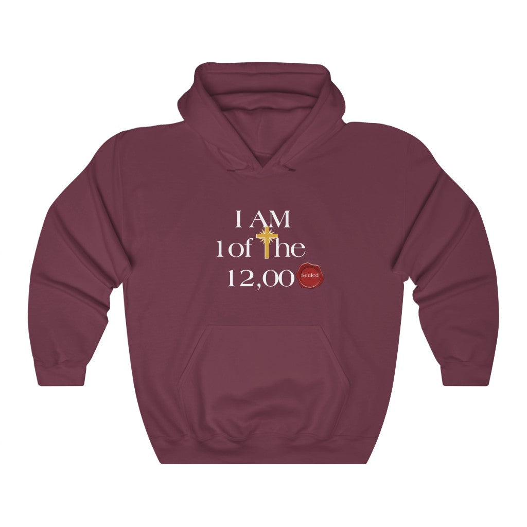 I AM ONE OF THE 12000 SEALED HOODIE-Hoodie-Maroon-S-mysticalcherry