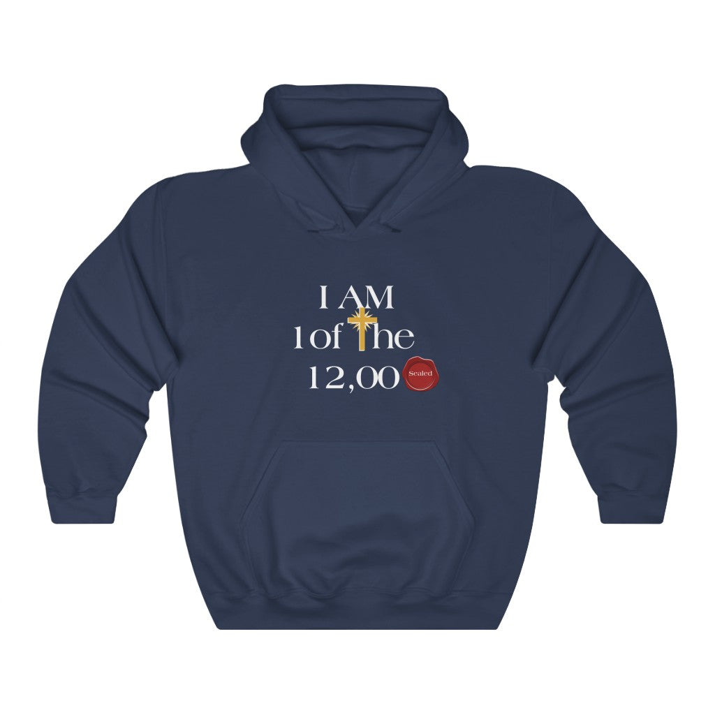 I AM ONE OF THE 12000 SEALED HOODIE-Hoodie-Navy-S-mysticalcherry
